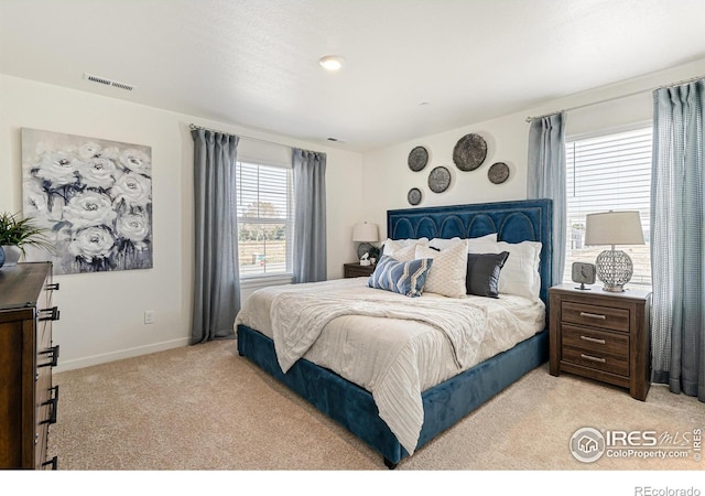 1731 Floating Leaf Dr Unit A, Fort Collins, CO 80528 - bedroom with light carpet and baseboards