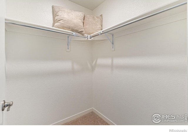 1731 Floating Leaf Dr Unit A, Fort Collins, CO 80528 - spacious closet with carpet floors