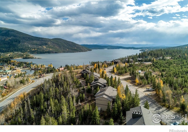 drone / aerial view with a water and mountain view