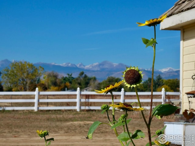 view of yard featuring a mountain view