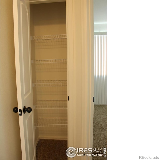 view of closet