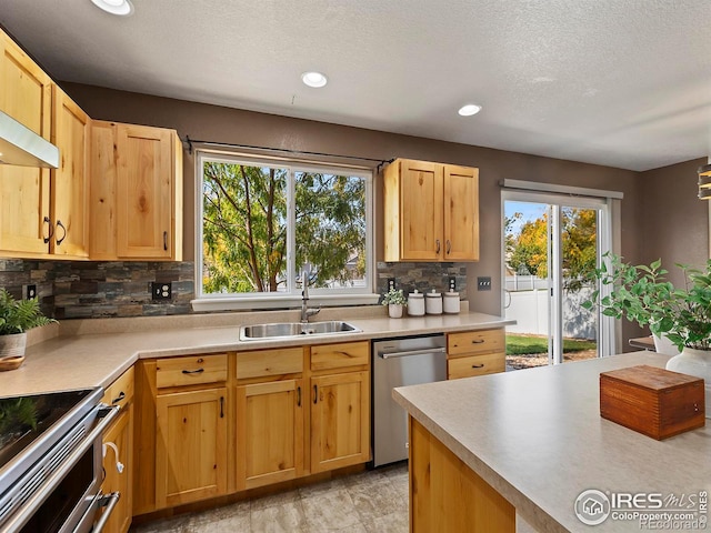 kitchen featuring backsplash, stainless steel appliances, sink, and plenty of natural light