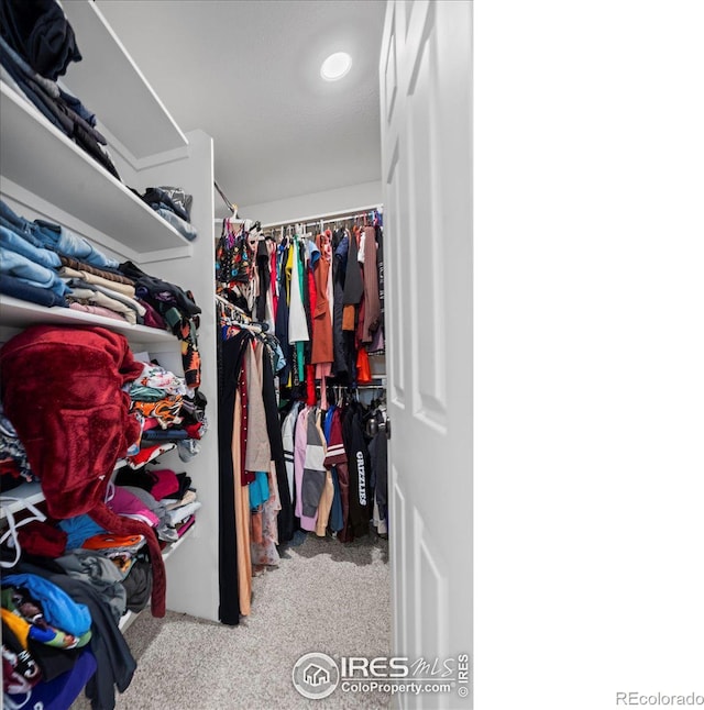 walk in closet featuring light colored carpet