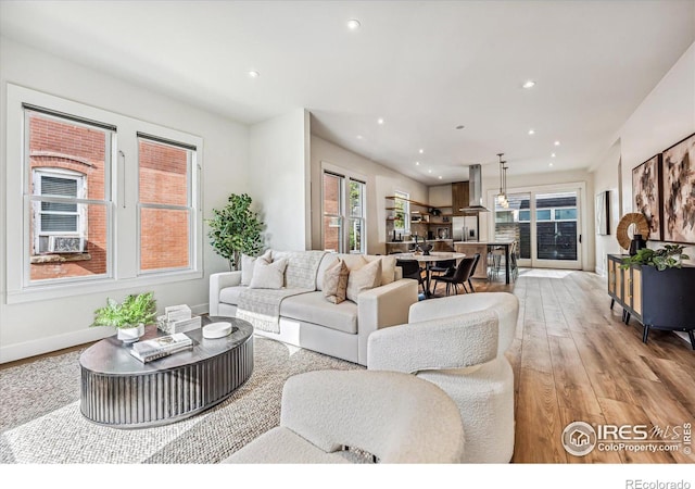 living room featuring light hardwood / wood-style flooring