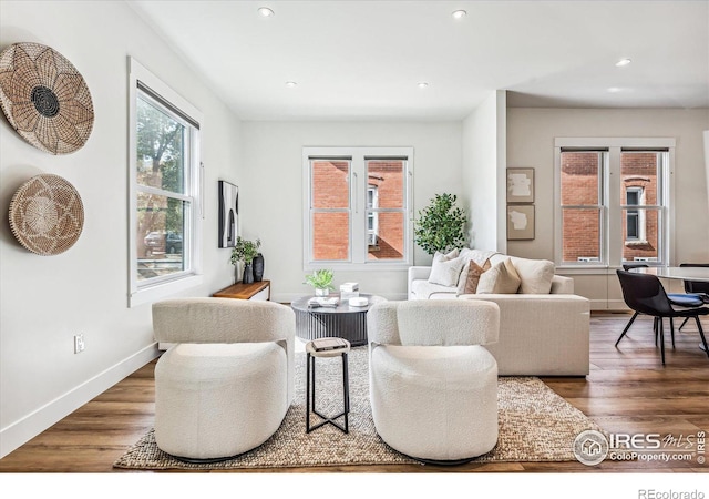 living room with wood-type flooring