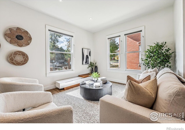 living room with hardwood / wood-style flooring