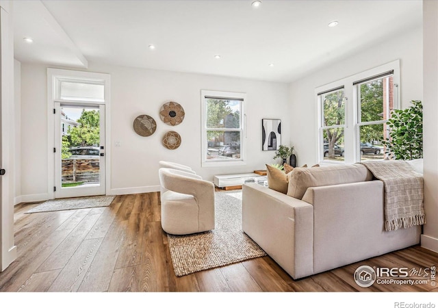 living room featuring hardwood / wood-style flooring and a wealth of natural light