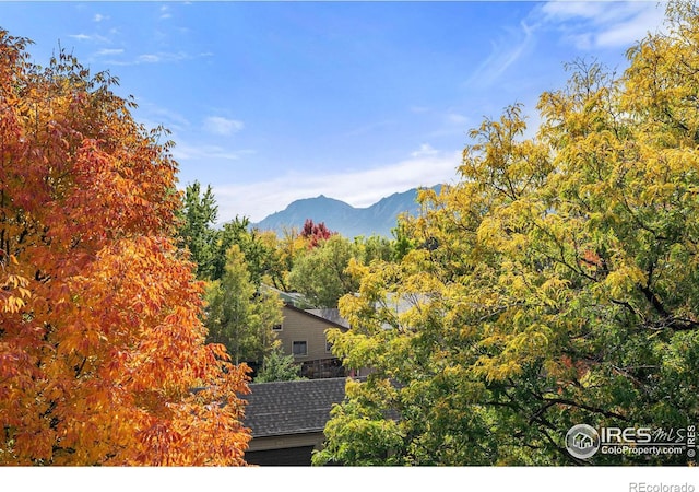 property view of mountains