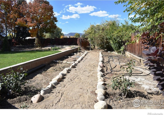 view of yard featuring a mountain view