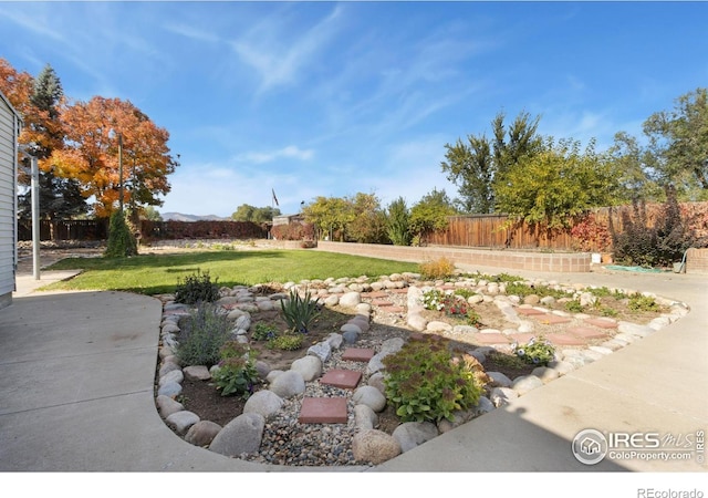 view of yard with a patio area