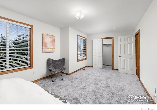 carpeted bedroom featuring a closet