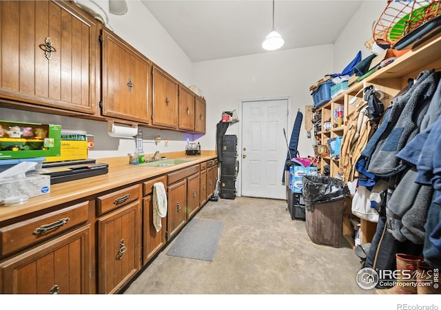 laundry area featuring sink and light carpet