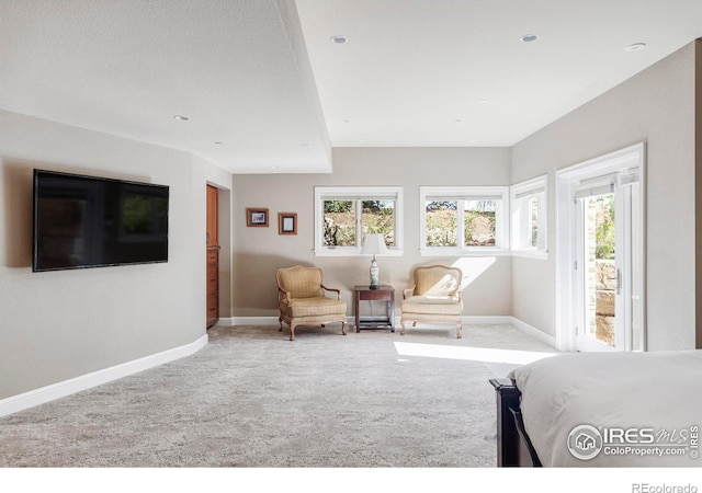 carpeted bedroom featuring access to exterior