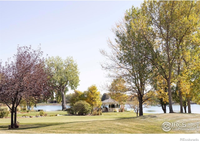 view of home's community with a yard and a water view