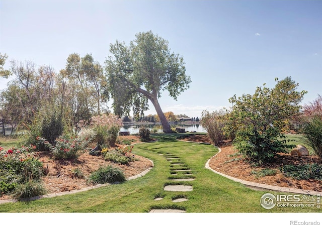 view of yard featuring a water view