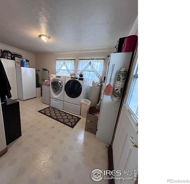 laundry area featuring light floors, laundry area, ornamental molding, a textured ceiling, and independent washer and dryer