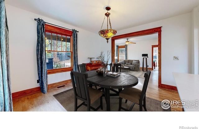 dining area featuring light wood-type flooring and ceiling fan