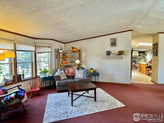 carpeted living room with a textured ceiling