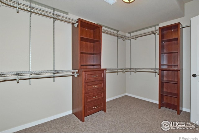 spacious closet with light colored carpet