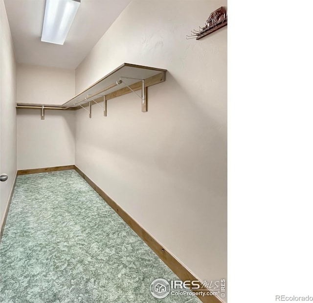 spacious closet featuring carpet floors