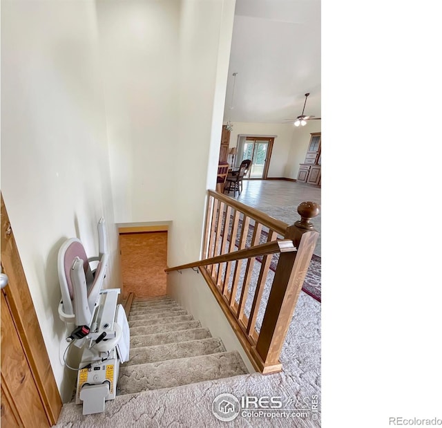 1241 S Sherman Ave, Holyoke, CO 80734 - stairway featuring ceiling fan and carpet flooring