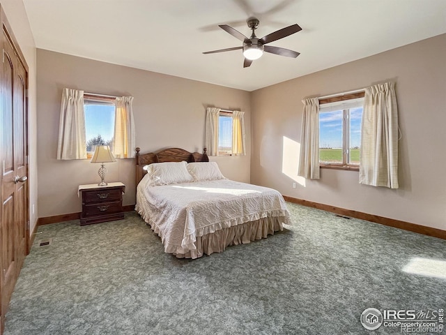 bedroom featuring multiple windows, ceiling fan, a closet, and carpet