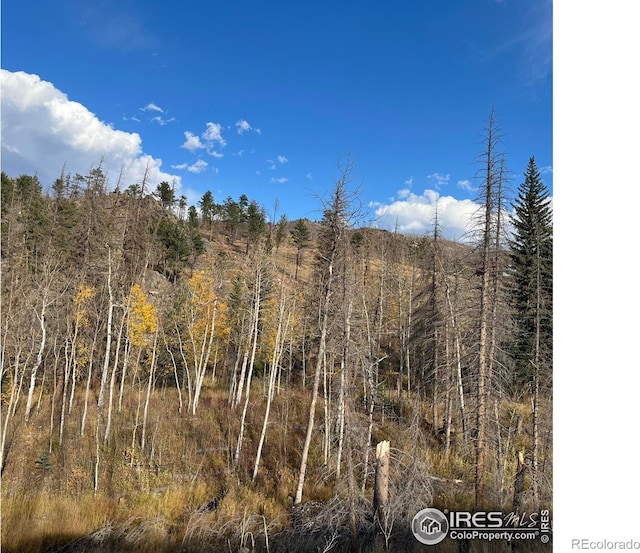 11 Monument Gulch Way, Bellvue CO, 80512 land for sale