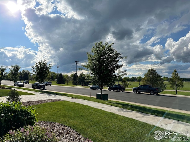 6634 Crystal Downs Dr Unit 104, Windsor, CO 80550 - view of grassy yard
