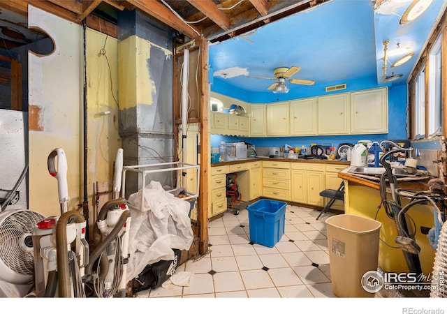 kitchen with sink and ceiling fan