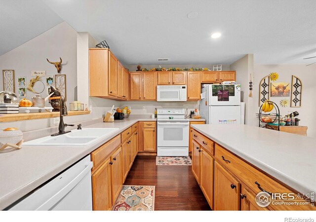 kitchen featuring dark hardwood / wood-style flooring, sink, and white appliances