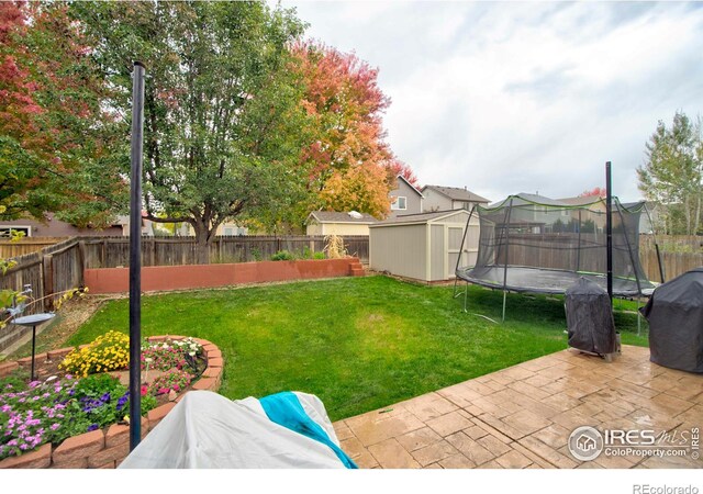 view of yard with a trampoline, a shed, and a patio area