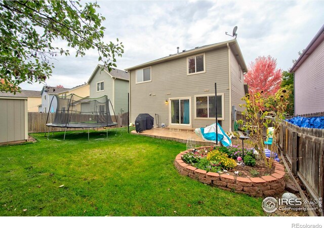 rear view of property featuring a patio, a storage unit, a trampoline, and a lawn