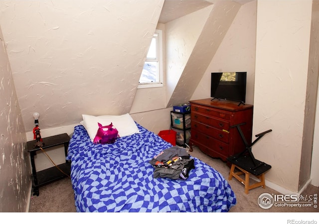 bedroom with carpet floors