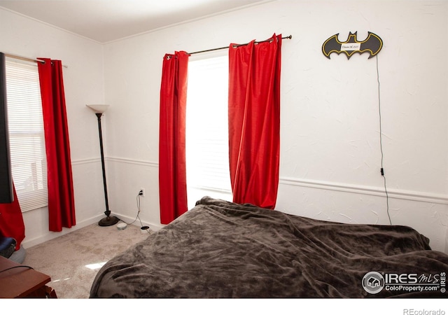 bedroom featuring carpet flooring