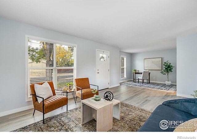 living room featuring hardwood / wood-style flooring