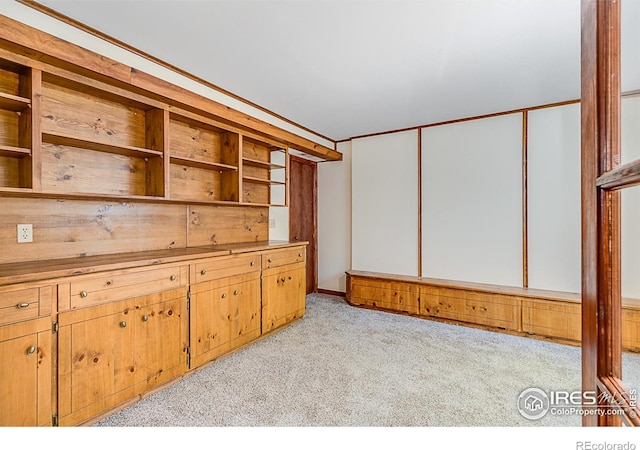 unfurnished living room featuring light colored carpet