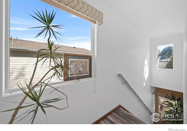 stairs with hardwood / wood-style flooring