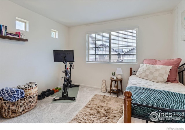 bedroom featuring multiple windows and carpet floors