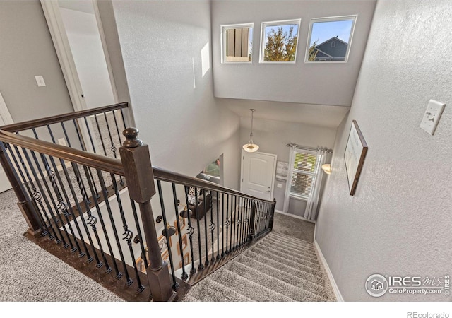 stairs featuring carpet flooring and plenty of natural light