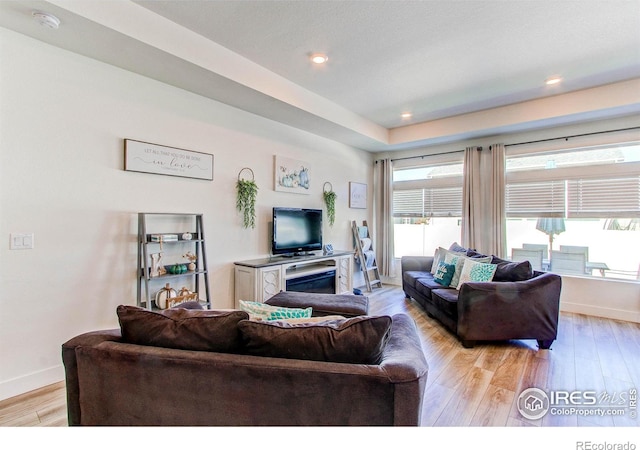 living room with light wood-type flooring