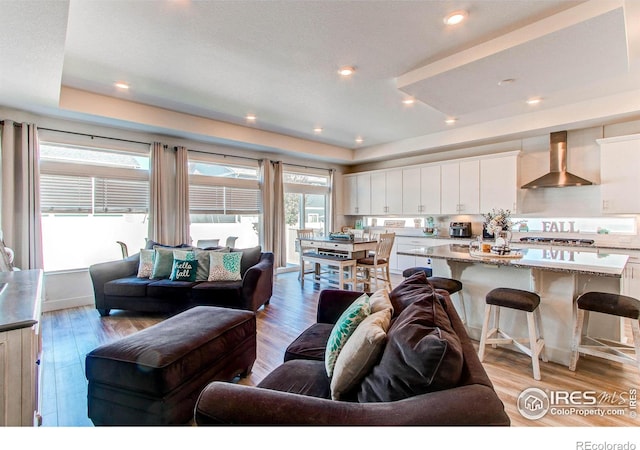 living room featuring light wood-type flooring