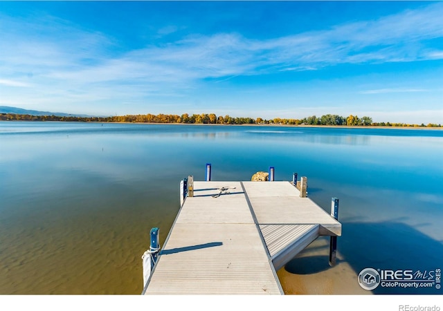 dock area featuring a water view