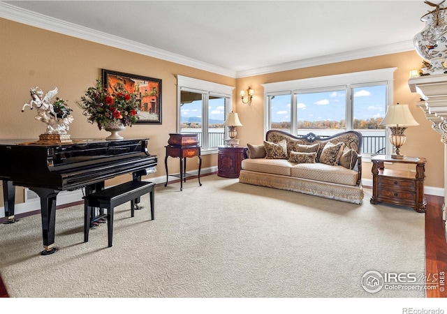 living area with crown molding and carpet