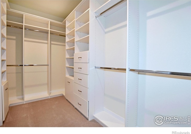 spacious closet featuring light carpet