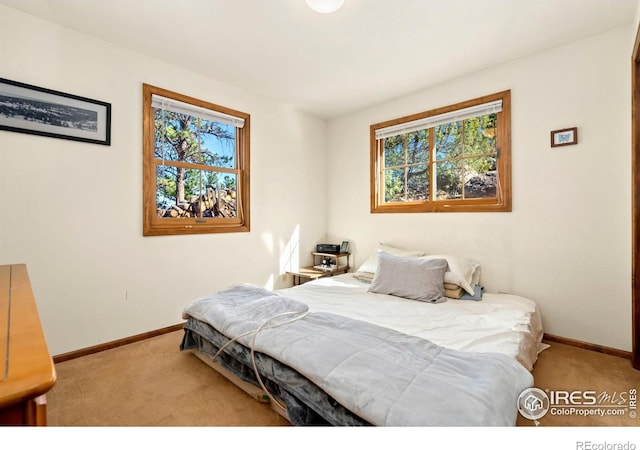 bedroom featuring light carpet and multiple windows