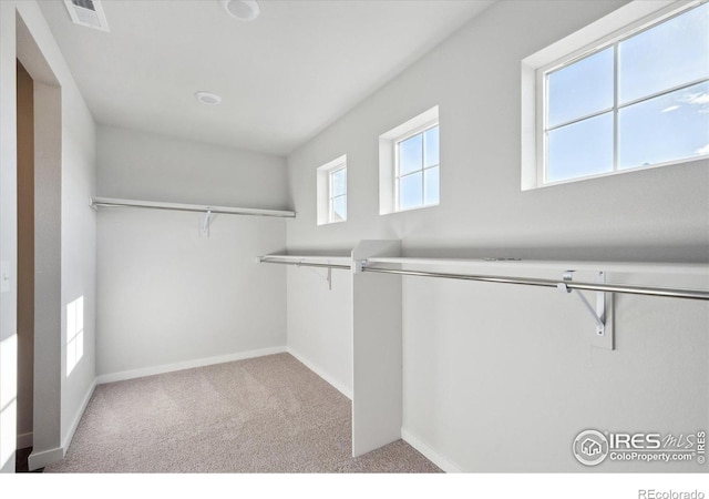 spacious closet with light colored carpet