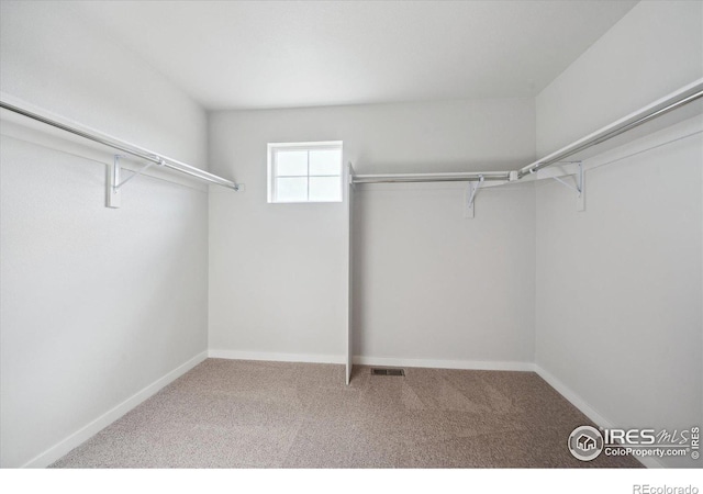 spacious closet with carpet