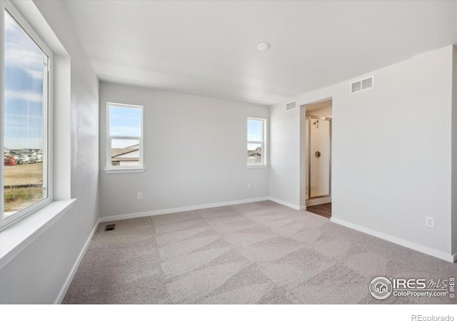 carpeted spare room featuring a wealth of natural light