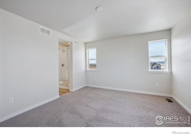 empty room with light carpet and a wealth of natural light