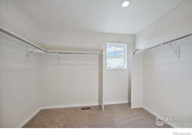 spacious closet with carpet flooring